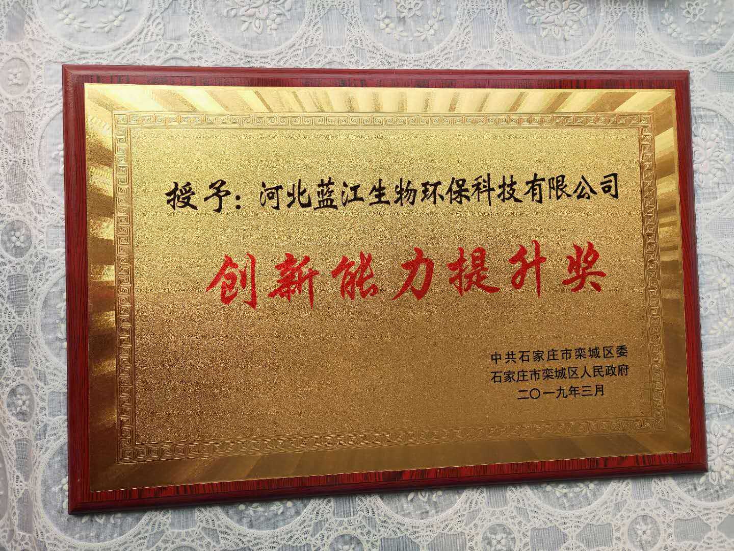 创新能力提升奖